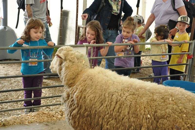 2013_Day3-006 Education